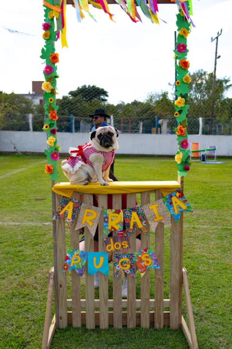 Foto do Pugnic 2026